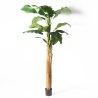 Supergreens Τεχνητο Δέντρο Μπανάνα Πράσινο 240 εκ.