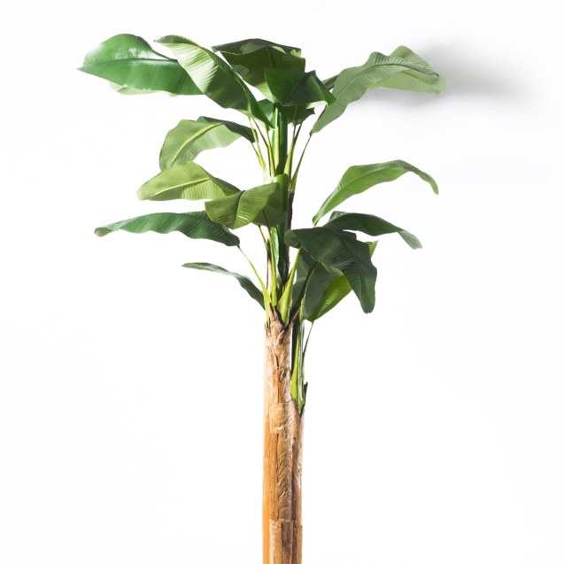 Supergreens Τεχνητο Δέντρο Μπανάνα Πράσινο 240 εκ.