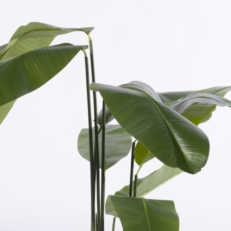 Supergreens Τεχνητο Δέντρο Πουλί του Παραδείσου "Strelitzia Nicolais" Πράσινο 180 εκ.