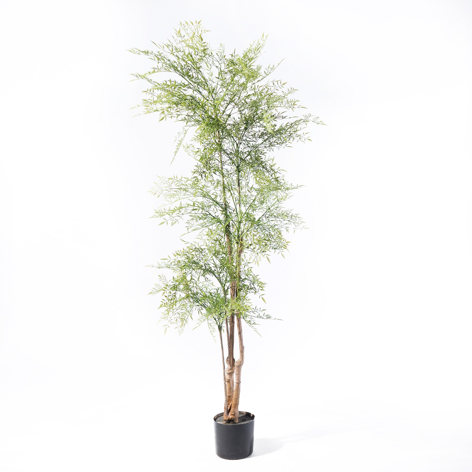 Supergreens Τεχνητο Δέντρο Φτέρη Πράσινο 210 εκ.