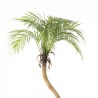 Supergreens Τεχνητο Φυτό Φοίνικας Πράσινο 80 εκ.
