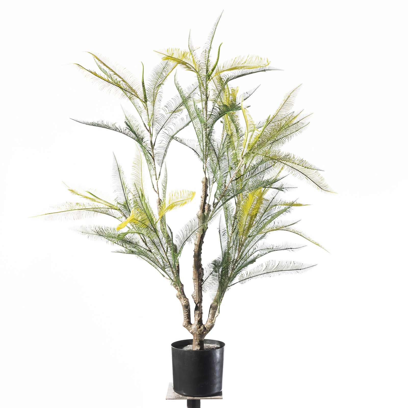 Supergreens Τεχνητό Φυτό Φτέρη "Maidenhair" Πράσινο 100 εκ.