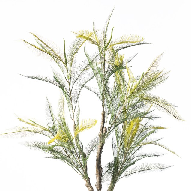 Supergreens Τεχνητό Φυτό Φτέρη "Maidenhair"...