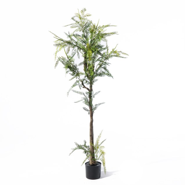 Supergreens Τεχνητό Δέντρο Φτέρη "Maidenhair"...