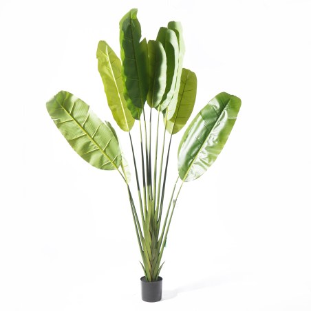 Supergreens Τεχνητό Δέντρο Πουλί του Παραδείσου "Strelitzia Ravenala" Πράσινο 250 εκ.