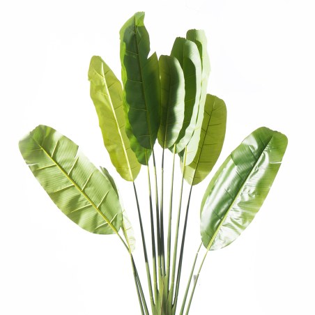 Supergreens Τεχνητό Δέντρο Πουλί του Παραδείσου "Strelitzia Ravenala" Πράσινο 250 εκ.