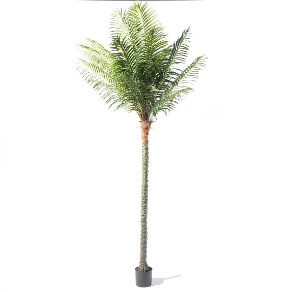 Supergreens Τεχνητό Δέντρο Φοίνικας "Robellini" Πράσινο...