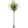 Supergreens Τεχνητό Δέντρο Φοίνικας "Robellini" Πράσινο 250 εκ.