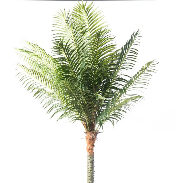 Supergreens Τεχνητό Δέντρο Φοίνικας "Robellini"...