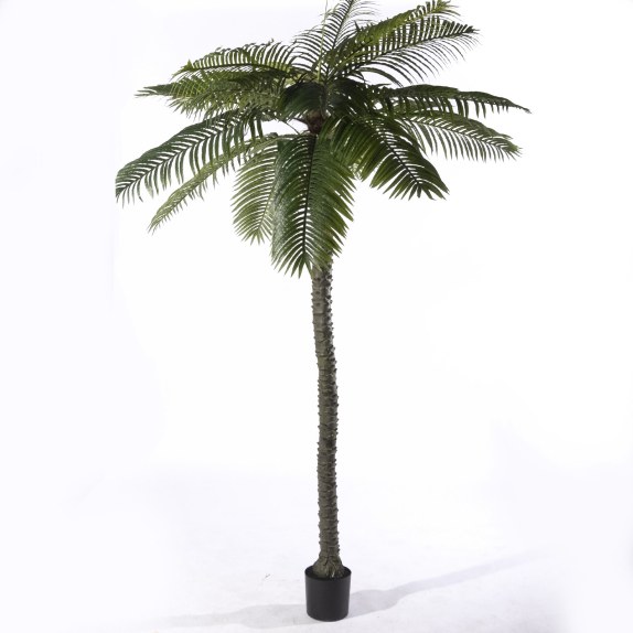 Supergreens Τεχνητό Δέντρο Φοίνικας "Robellini" Πράσινο...
