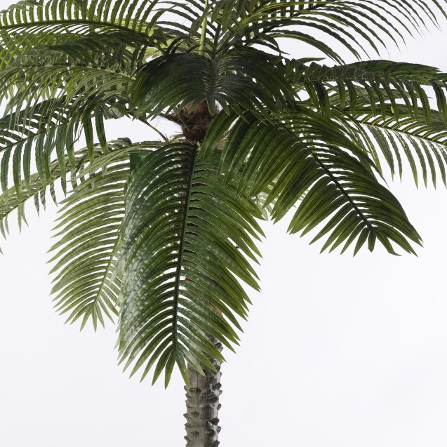 Supergreens Τεχνητό Δέντρο Φοίνικας "Robellini"...