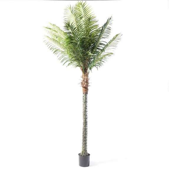 Supergreens Τεχνητό Δέντρο Φοίνικας "Robellini" Πράσινο...
