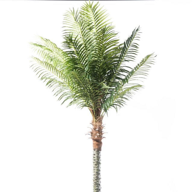 Supergreens Τεχνητό Δέντρο Φοίνικας "Robellini"...