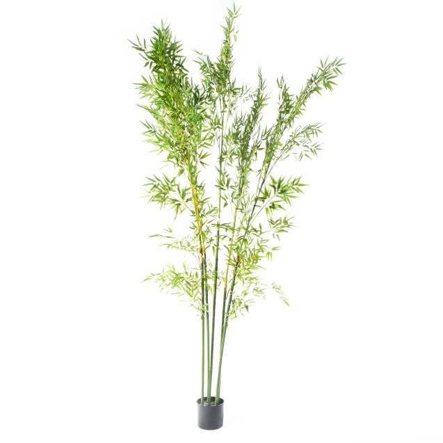 Supergreens Τεχνητό Δέντρο Μπαμπού "Lucky"...
