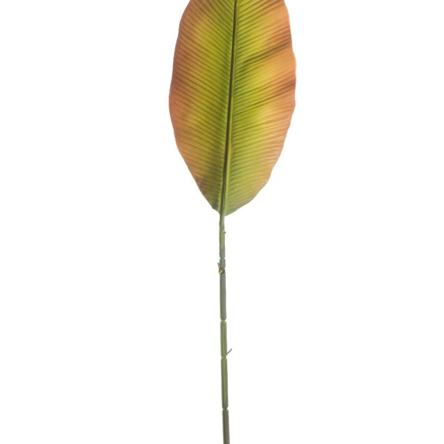 Supergreens Τεχνητό Φύλλο Πουλί του Παραδείσου...