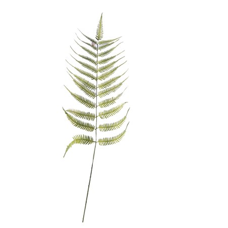 Supergreens Τεχνητό Φύλλο Φτέρη Πράσινο 107 εκ.