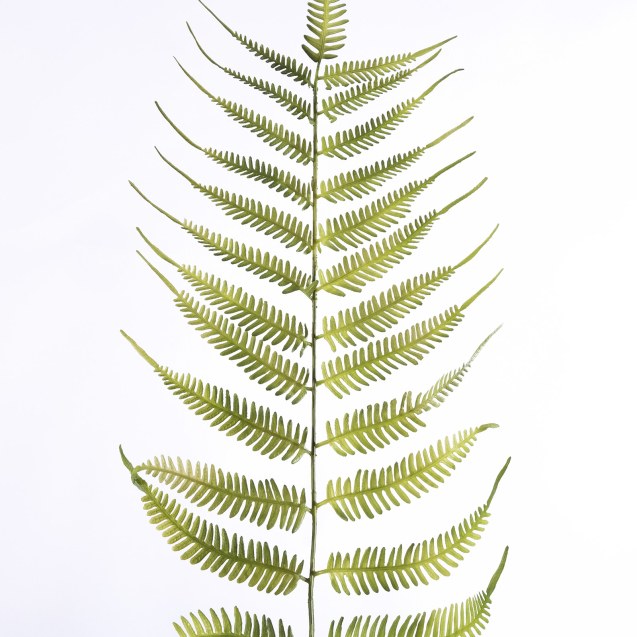 Supergreens Τεχνητό Φύλλο Φτέρη Πράσινο 107 εκ.