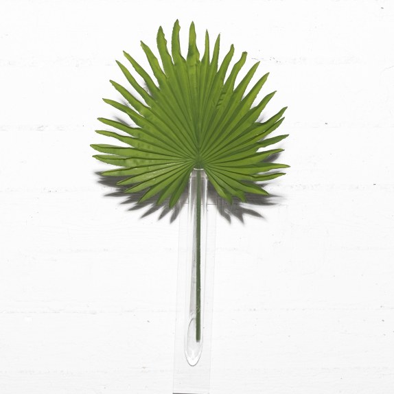 Supergreens Τεχνητό Φύλλο Φοίνικα "Livistona" Πράσινο 57 εκ.