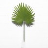 Supergreens Τεχνητό Φύλλο Φοίνικα "Livistona" Πράσινο 57 εκ.