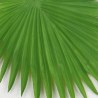 Supergreens Τεχνητό Φύλλο Φοίνικα "Livistona" Πράσινο 57 εκ.