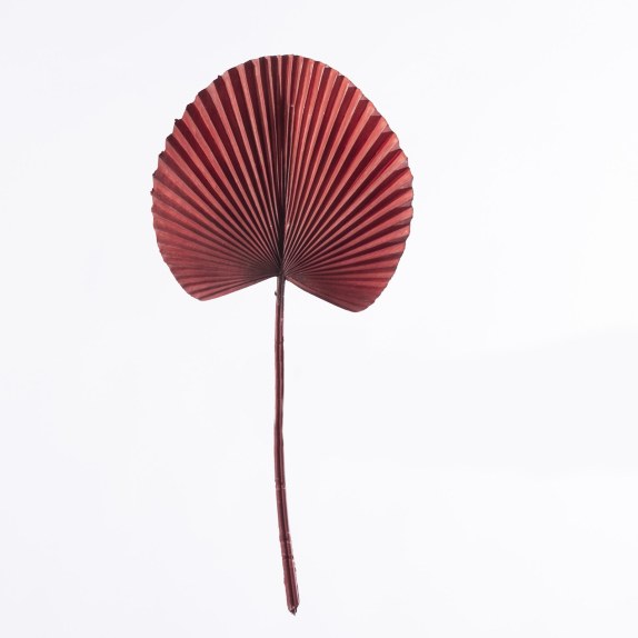 Supergreens Τεχνητό Φύλλο Φοίνικα "Licuala" Κόκκινο 37 εκ.