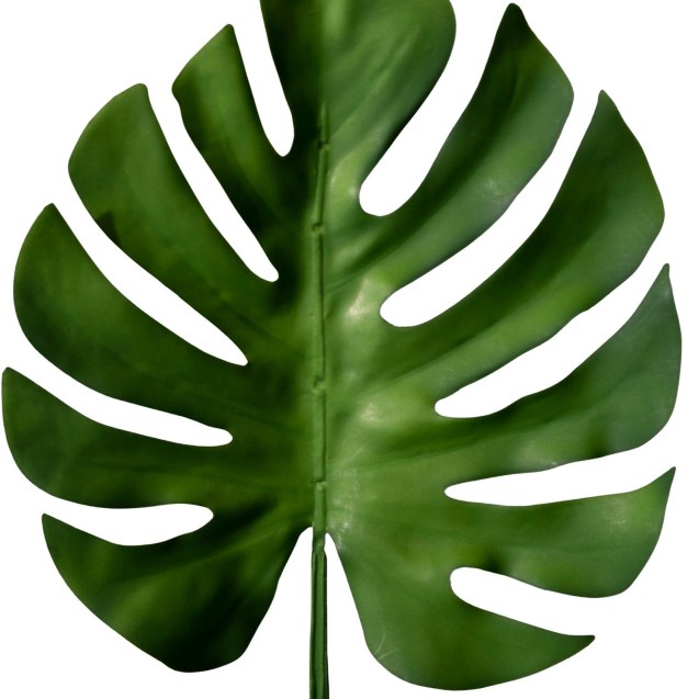 Supergreens Τεχνητό Φύλλο Μονστέρα Καφέ 71 εκ.