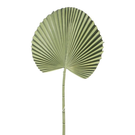 Supergreens Τεχνητό Φύλλο Φοίνικα "Licuala" Πράσινο 52 εκ.