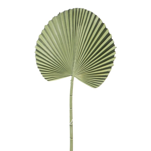 Supergreens Τεχνητό Φύλλο Φοίνικα "Licuala"...