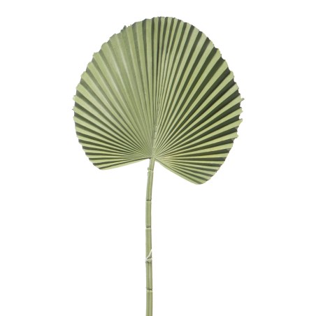 Supergreens Τεχνητό Φύλλο Φοίνικα "Licuala" Πράσινο 52 εκ.