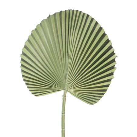 Supergreens Τεχνητό Φύλλο Φοίνικα "Licuala" Πράσινο 52 εκ.