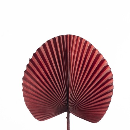 Supergreens Τεχνητό Φύλλο Φοίνικα "Licuala" Μπορντώ 52 εκ.