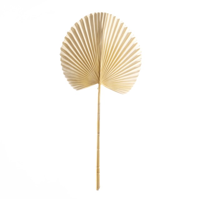 Supergreens Τεχνητό Φύλλο Φοίνικα "Licuala"...