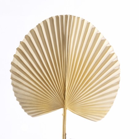 Supergreens Τεχνητό Φύλλο Φοίνικα "Licuala" Μπεζ 52 εκ.