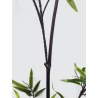 Supergreens Τεχνητό Κλαδί Μπαμπού Πράσινο 300 εκ.