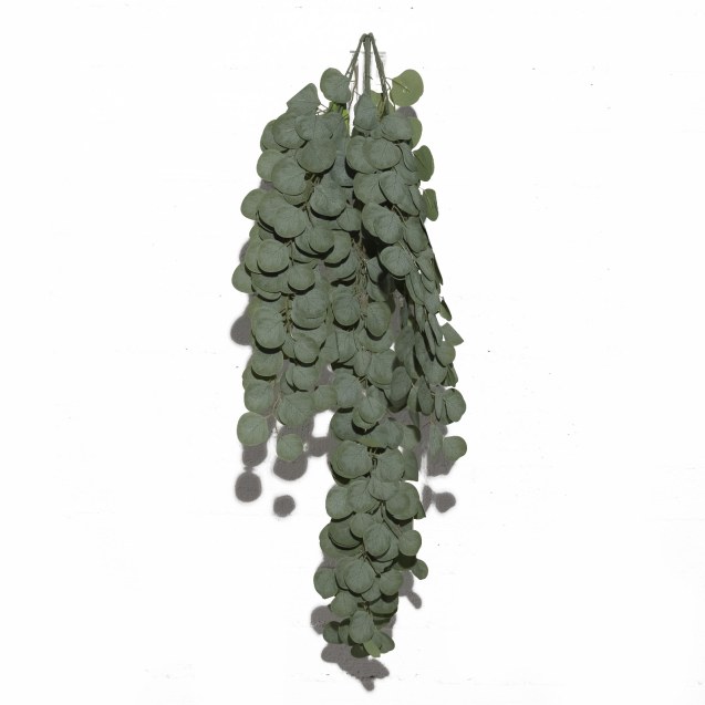 Supergreens Τεχνητός Κρεμαστός Ευκάλυπτος...