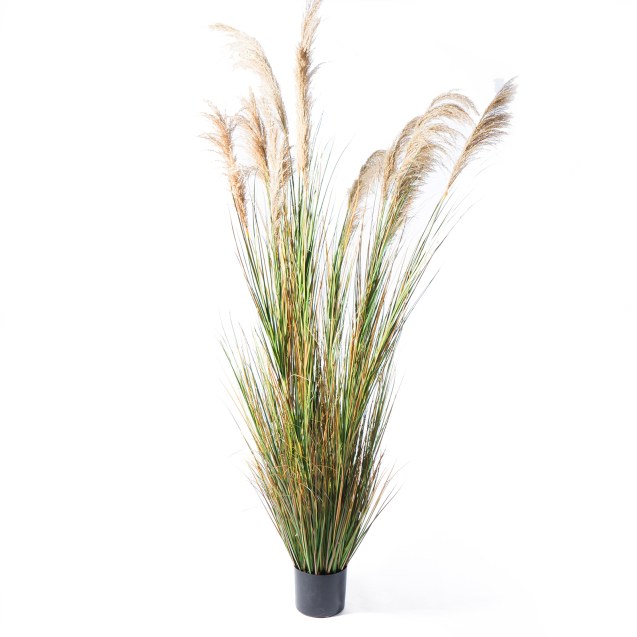 Supergreens Τεχνητο Φυτό Χορτάρι "Reed" Πράσινο...