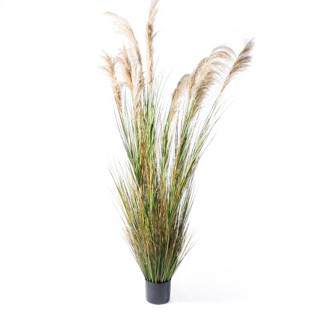 Supergreens Τεχνητο Φυτό Χορτάρι "Reed" Πράσινο 280 εκ.