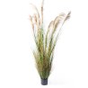 Supergreens Τεχνητο Φυτό Χορτάρι "Reed" Πράσινο 280 εκ.