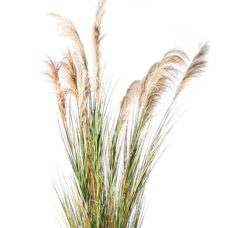 Supergreens Τεχνητο Φυτό Χορτάρι "Reed" Πράσινο 280 εκ.