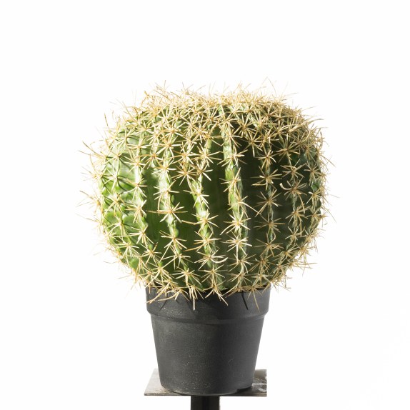 Supergreens Τεχνητό Φυτό Εχινόκακτος 36 εκ.