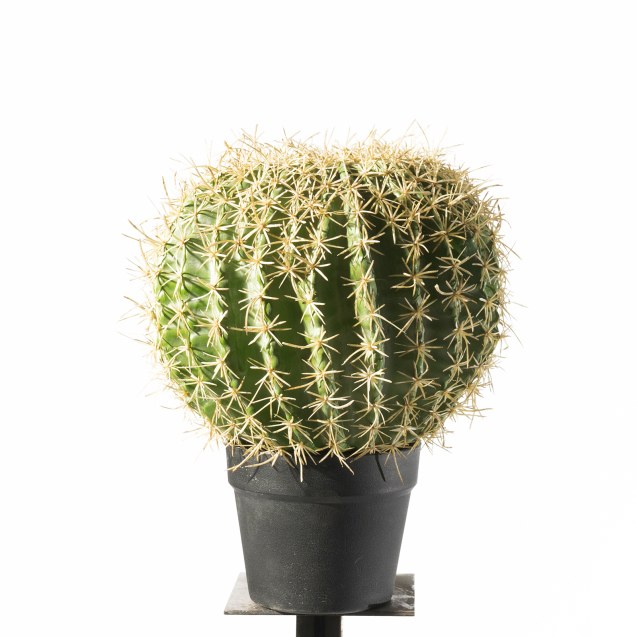 Supergreens Τεχνητό Φυτό Εχινόκακτος 36 εκ.