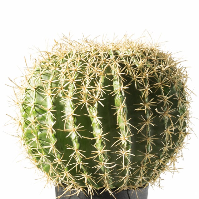 Supergreens Τεχνητό Φυτό Εχινόκακτος 36 εκ.