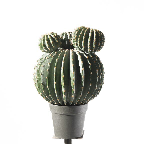 Supergreens Τεχνητό Φυτό Εχινόκακτος 62 εκ.