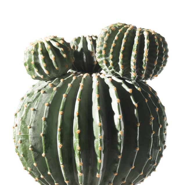 Supergreens Τεχνητό Φυτό Εχινόκακτος 62 εκ.