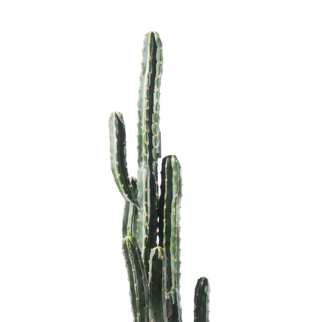 Supergreens Τεχνητό Φυτό Εφόρμπια 143 εκ.