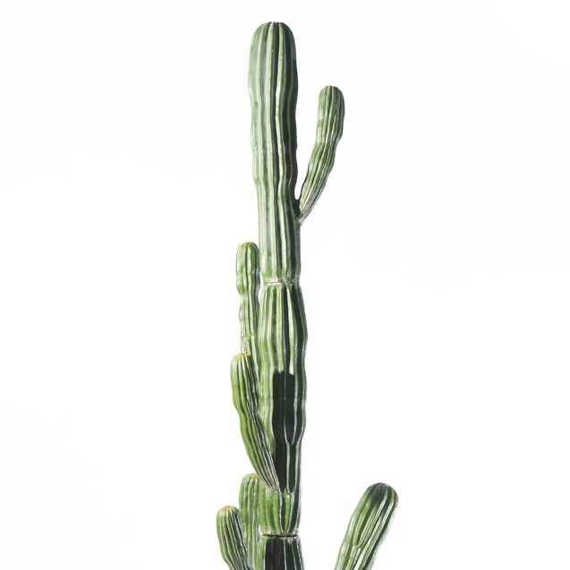 Supergreens Τεχνητό Φυτό Εφόρμπια 250 εκ.