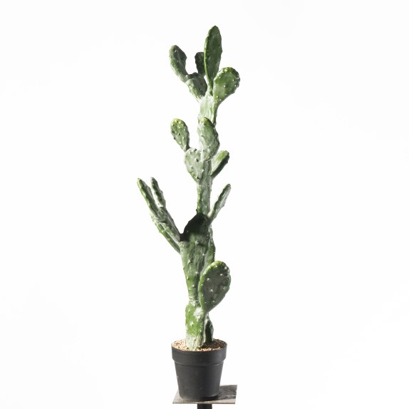 Supergreens Τενητό Φυτό Φραγκοσυκιά "Opuntia" 91,5 εκ.