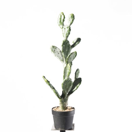 Supergreens Τενητό Φυτό Φραγκοσυκιά "Opuntia" 76 εκ.