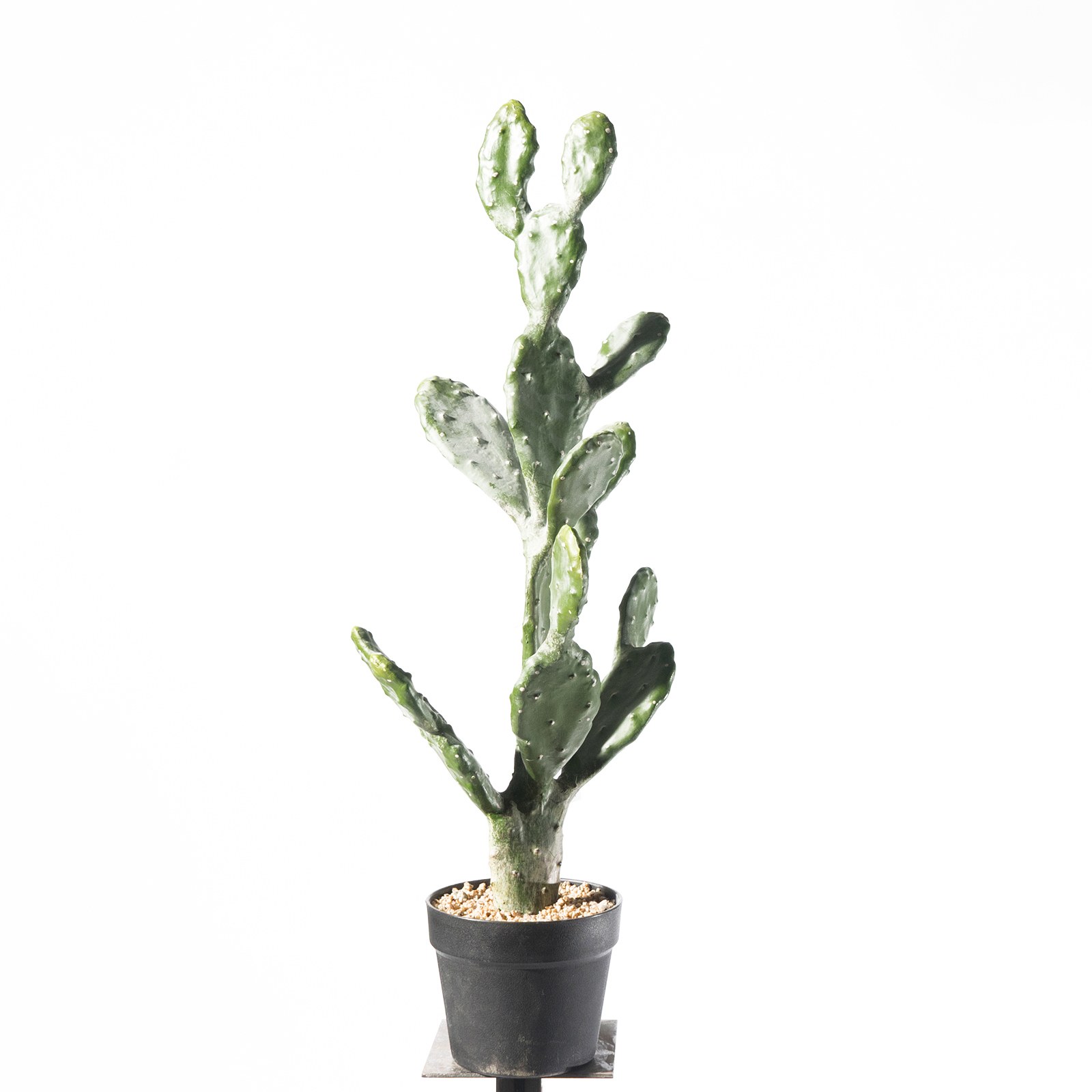 Supergreens Τενητό Φυτό Φραγκοσυκιά "Opuntia" 76 εκ.