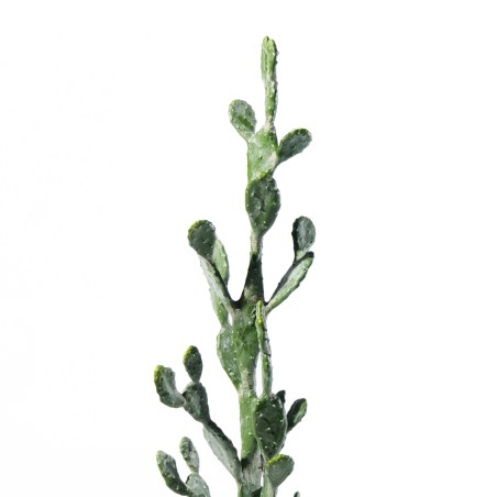 Supergreens Τενητό Φυτό Φραγκοσυκιά "Opuntia" 134 εκ.